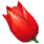 [Ивенты] Благоухающие тюльпаны — подарок от сердца! 